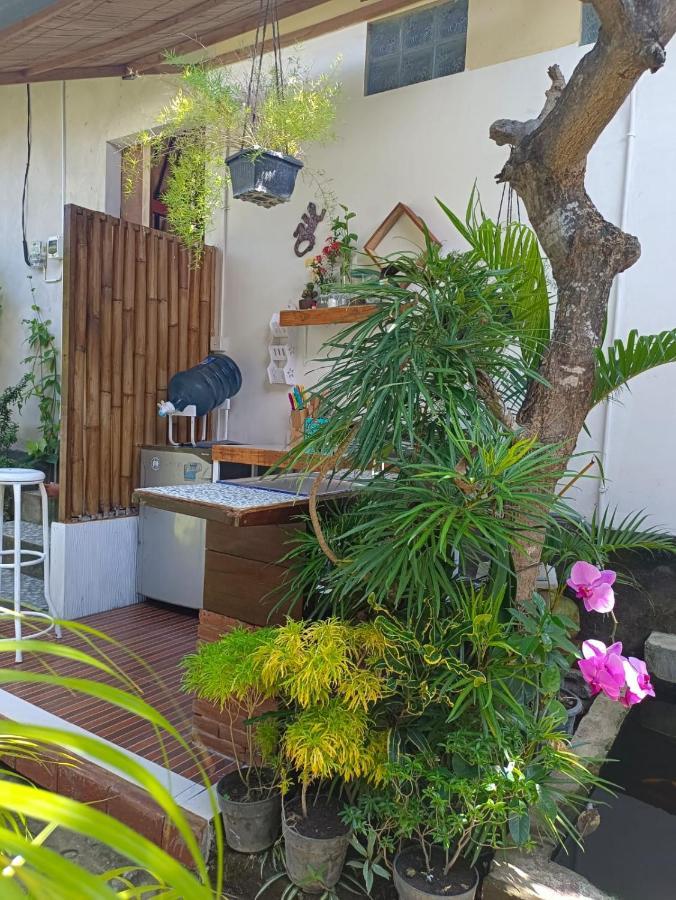 Dalum Homestay Amed Kültér fotó